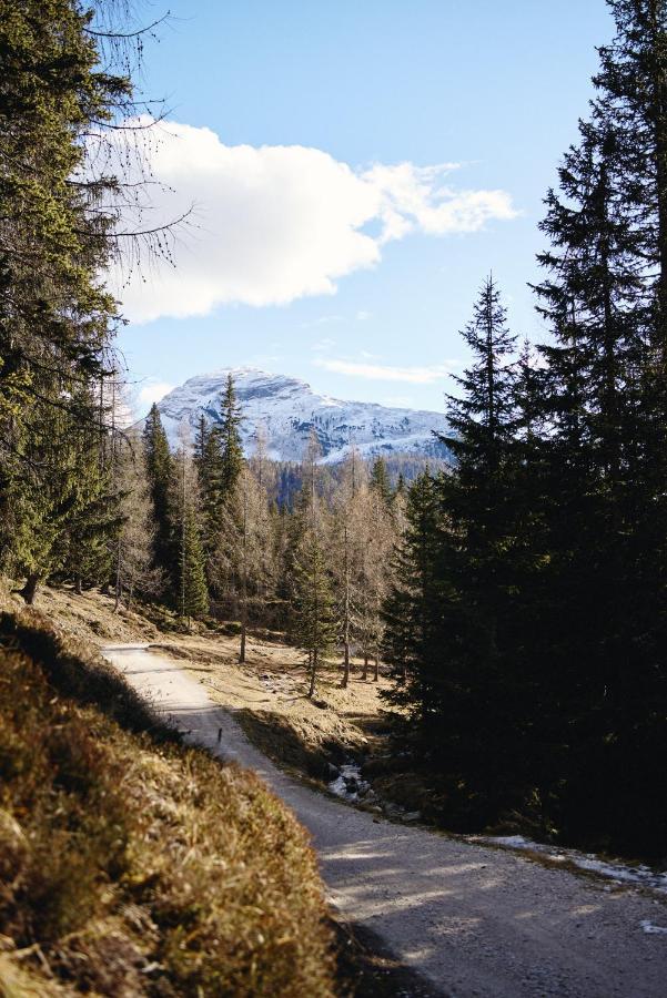 Вілла Rifugio Malga Ra Stua Кортіна-д'Ампеццо Екстер'єр фото