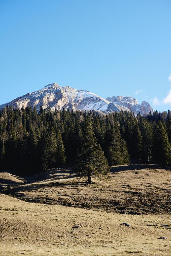 Вілла Rifugio Malga Ra Stua Кортіна-д'Ампеццо Екстер'єр фото