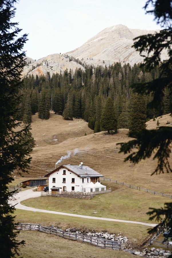 Вілла Rifugio Malga Ra Stua Кортіна-д'Ампеццо Екстер'єр фото