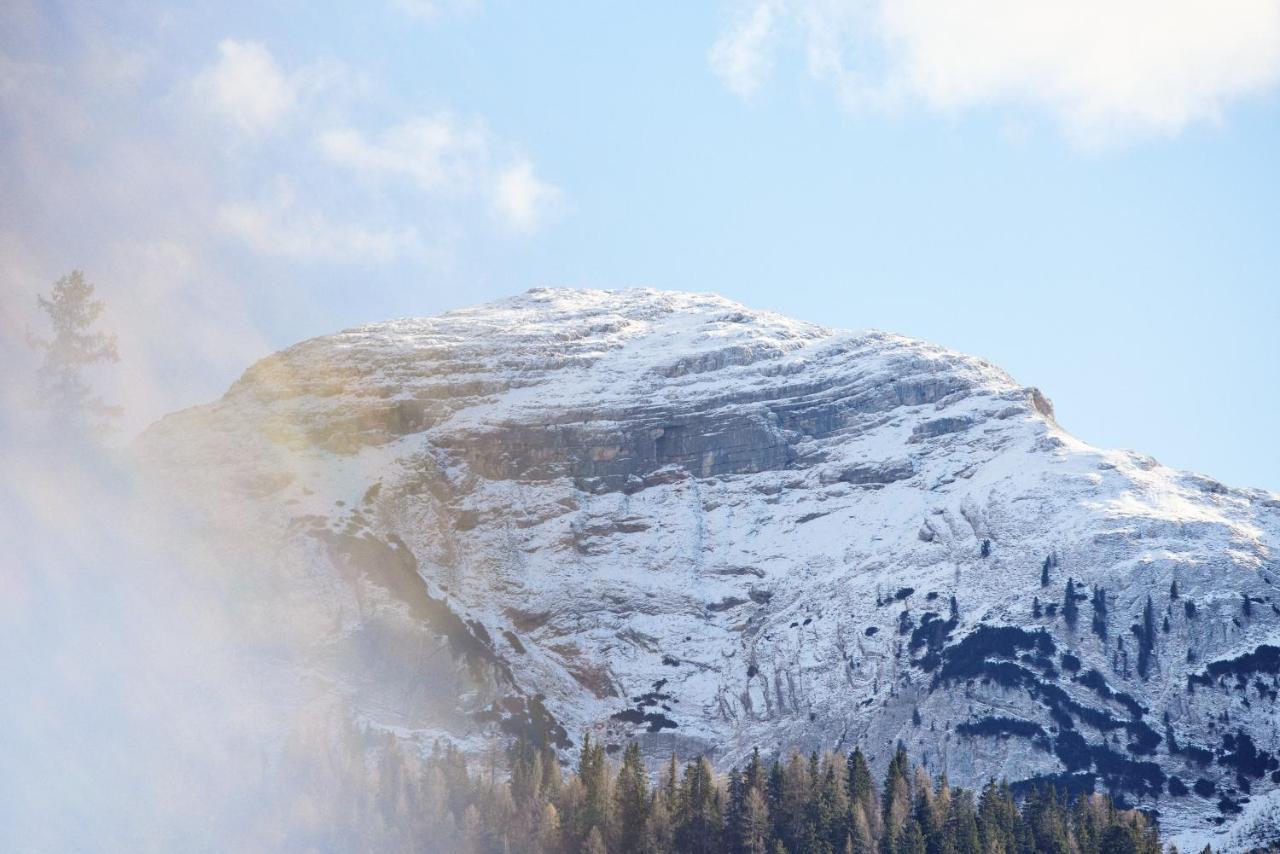 Вілла Rifugio Malga Ra Stua Кортіна-д'Ампеццо Екстер'єр фото